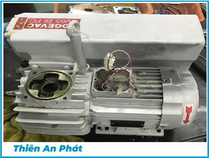 Sửa chữa bơm chân không, Model: LEYBOLD-SV65BI-FC