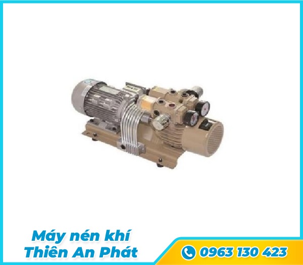 Bơm cánh gạt quay không dầu tiêu chuẩn dòng WZB